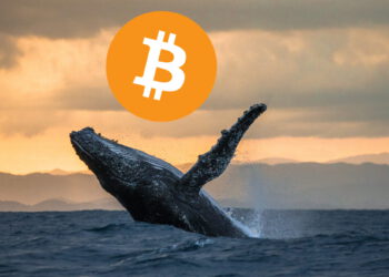 Mysterious Bitcoin Wallet Buys around 3 Billion USD BTC in Three Days