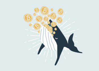 Whales are fiercely buying Bitcoin, even if the miners take a risk-off approach