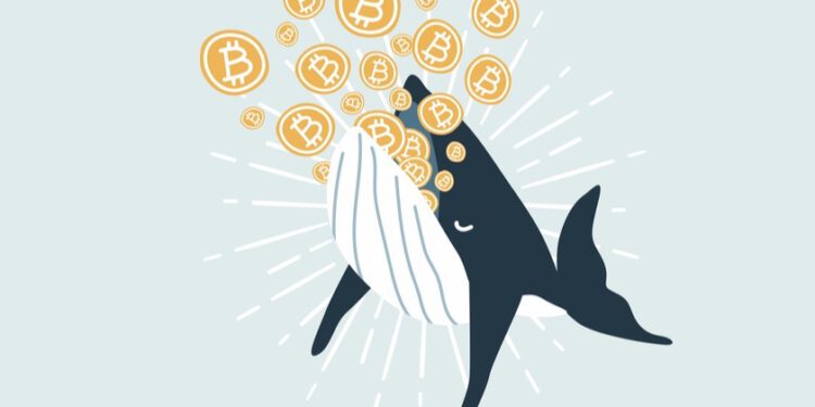Whales are fiercely buying Bitcoin, even if the miners take a risk-off approach