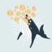 Whales are fiercely buying Bitcoin, even if the miners take a risk-off approach