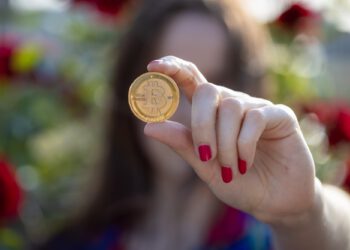 Activity decreases, hodlers remain strong