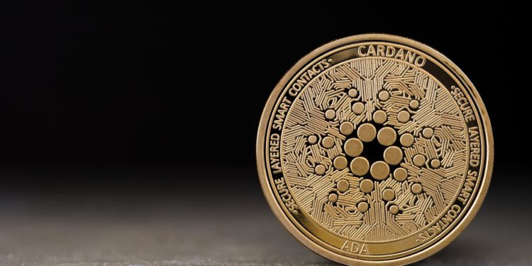 Cardano-Münze