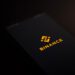 Binance Coin Forecast – Can the price rise to $600?