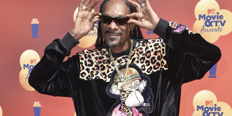 Snoop Dogg, Tom Brady and Co.: Celebrities admonished for NFT advertising