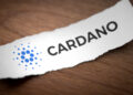 Crypto Analytics Company: Cardano shows its April a positive mood