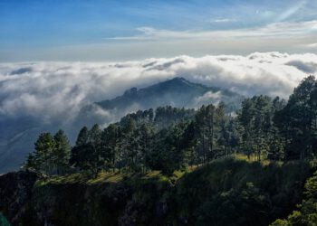 Tourism in El Salvador Soars Despite Bitcoin Bear Market