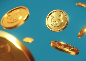 Will the Shiba Inu Coin make it into the top 10 cryptocurrencies in the future?