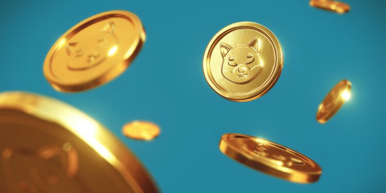 Will the Shiba Inu Coin make it into the top 10 cryptocurrencies in the future?