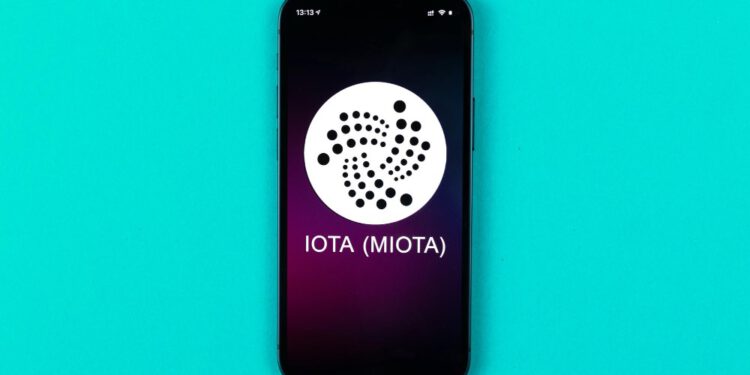 Can IOTA get back to the top in 2025?