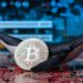 Bitcoin-Münze mit Wal