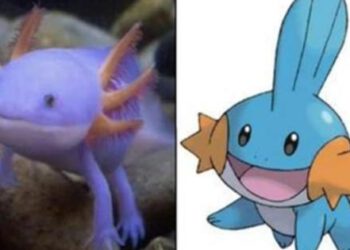 The UNAM congratulates Ash Ketchum with interesting Pokémon infographic