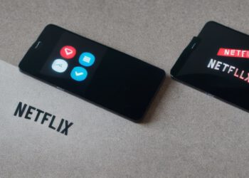 Netflix’s Business Model and Future Growth Potential